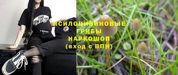 ПСИЛОЦИБИНОВЫЕ ГРИБЫ Нязепетровск