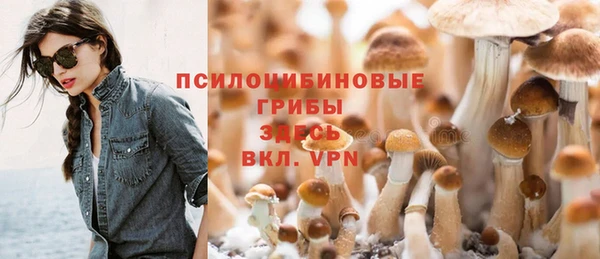 амф Алексин