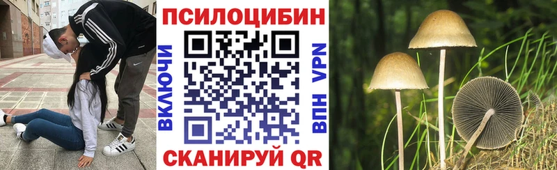 Псилоцибиновые грибы мицелий  купить   Покров 
